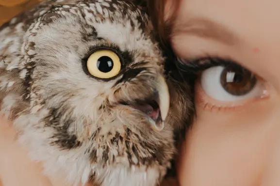 PlayHub Casino Soporte